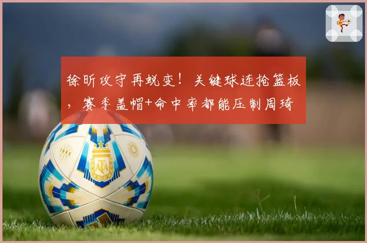 徐昕攻守再蜕变！关键球连抢篮板，赛季盖帽+命中率都能压制周琦