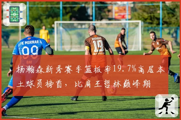 杨瀚森新秀赛季篮板率19.7%高居本土球员榜首，比肩王哲林巅峰期