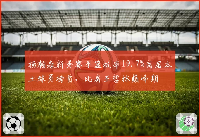 杨瀚森新秀赛季篮板率19.7%高居本土球员榜首，比肩王哲林巅峰期