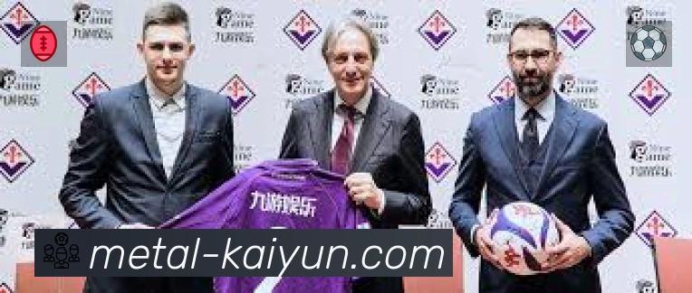 开云站内搜索增强